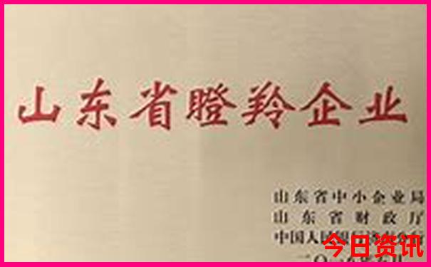 暑假适合带初中孩子去哪玩