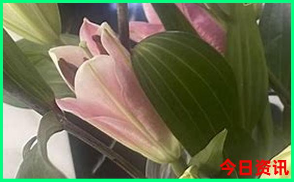 敦煌旅游最佳季节